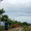 vxlb_s13
