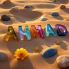 chaouki789