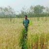 mahendra.yadav.5