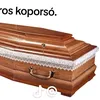 kertesz000
