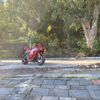 murti_600rr
