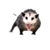 aaaaaaaaaaaaaa_411