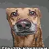 valenok.negra3