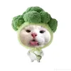 hanchoem