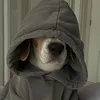_tnguynne06