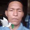 brito.junior31