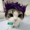 chiara_etzii
