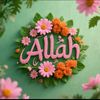 allahthebestalltime8199