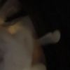 theyhearttt_mariii