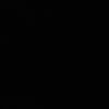nunu_4486