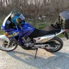 golub366