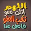 abu.hamdy05