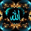 user4343450377357