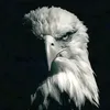 fpgomes85