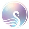 swan_studiio