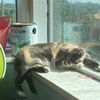 myka118