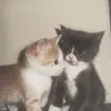 lovelissiyaya