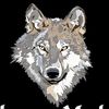 altaib083