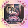 jasondixon53