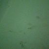 user909949112