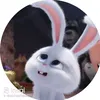 evaniritadossanto