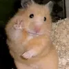 sangritaq