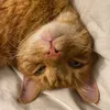 veri_unknown_person