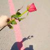user41086619158737