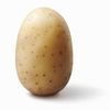 masterofthepotatos