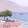 hammadi8028