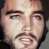 clubedeelvis