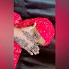 faaizodaauuddaahir8