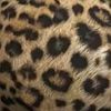 lovevacations2313