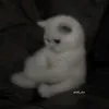 kjjhfddhioitexjnh