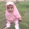 lalshah.gul