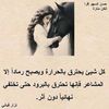 user2355490227503