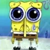 Spongetok