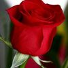 chandni020a