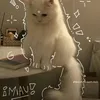 vboqn