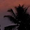 ilovethebeach608