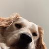 baileysplanet
