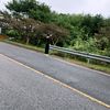 ritakorea