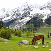 نظارۂ کشمیر 🏔️🍁
