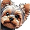 yorkshireterrier15