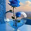 user1631906633749