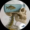 adftzub
