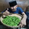 LIKIPU