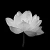 huangvit69_11