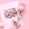 noor.1qra793