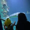 marine1_1biologist